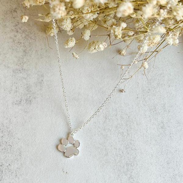 Collier avec patte, acier inoxydable en or blanc