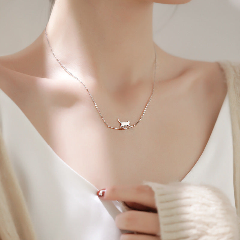 Collier de grimpe pour chat en or blanc