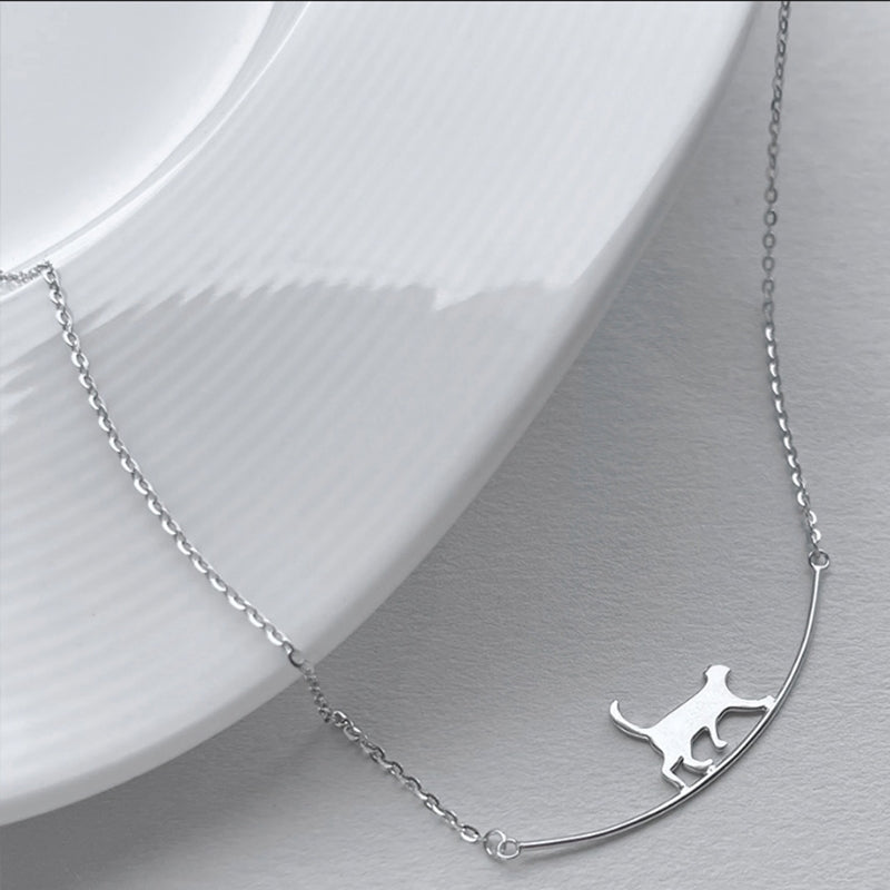 Collier de grimpe pour chat en or blanc