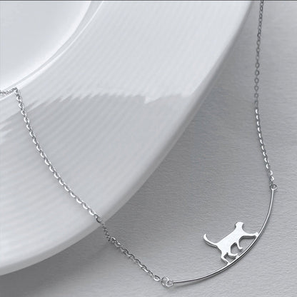 Collier de grimpe pour chat en argent