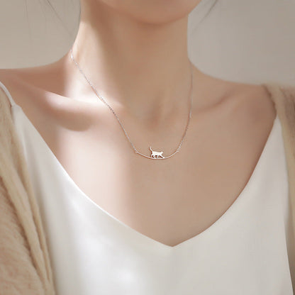Collier de grimpe pour chat en argent